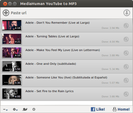 media human for surf travel