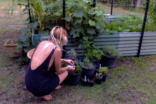 home grown vegetables