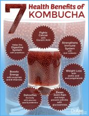 kombucha benefits