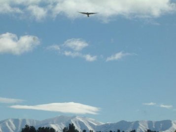 New Zealand exploration